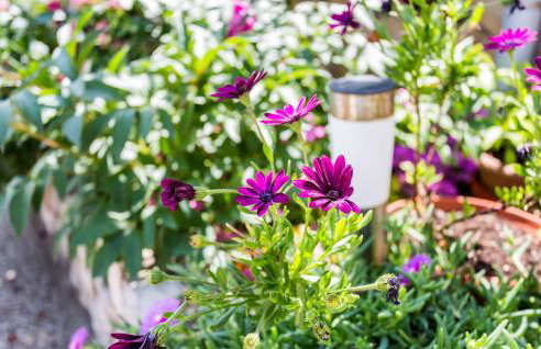 Apartman Gržetić - Foto 36