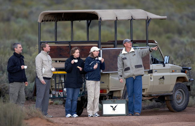 Safari de vida silvestre - Foto 4