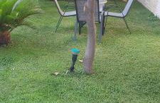 Oniro Rooms & Suites - Foto 9