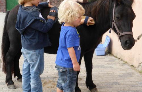 Reiterhof Gründeich - Foto 65