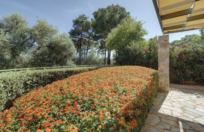 Ouzo Stone Studio - Photo 22