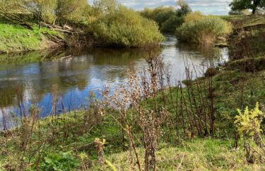 High Oak Holiday Cottage - Foto 20