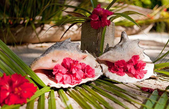 Escursione a Tabyana Beach - Foto 6