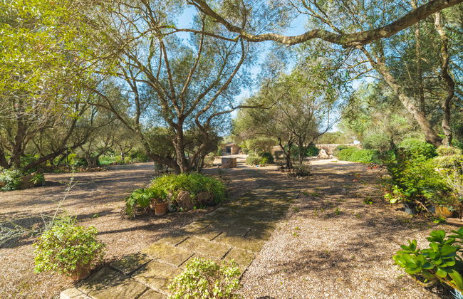 Es Rafalet - Foto 55