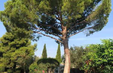 Les Bougainvillées de Camargue - Photo 36