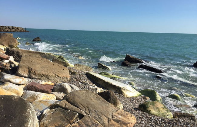 Seaside Getaway- Pet-friendly - Foto 36