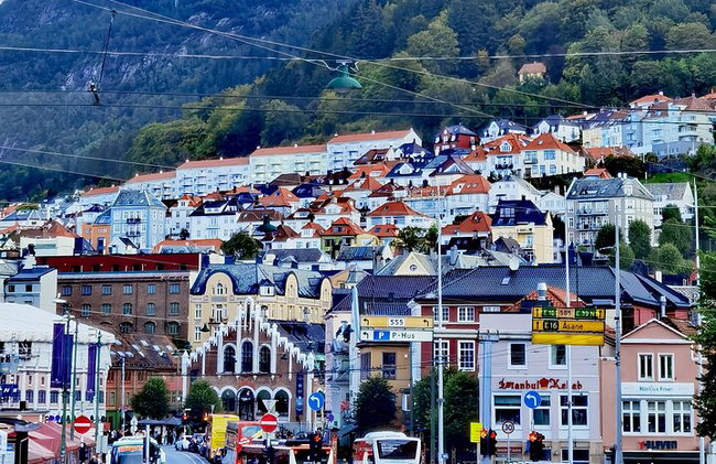 Tour de 2 días Bergen a Flåm Næroyfjord Sognefjord y Hardangerfjord - Foto 2