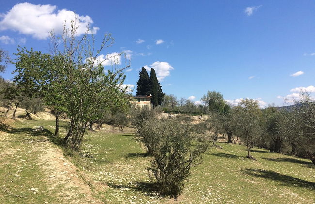 Piccolo Campagna - Foto 15