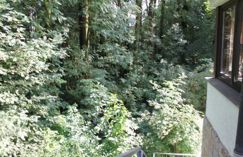 FeWo Harling - Waldsamkeit - Foto 1