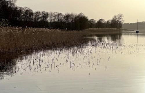 Uroczy Zakątek Boszkowo - Foto 19