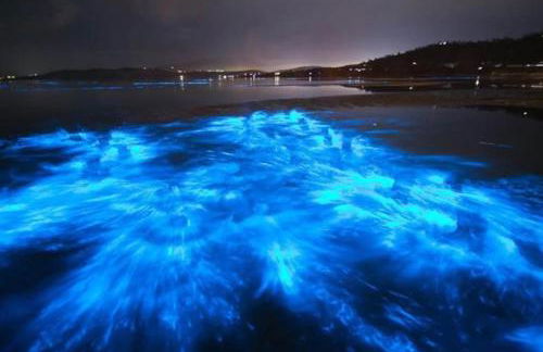 Oceanfront Royal Mansions! Paradise Awaits! - Foto 32