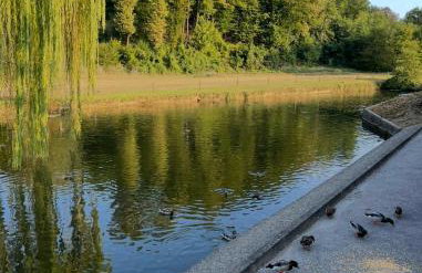 Apartments Šoić - Photo 45