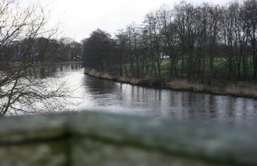 Holunder Hüsken - Foto 37