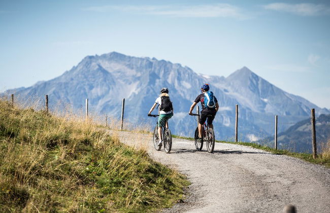 Gaspingers Bergjuwel - Foto 43