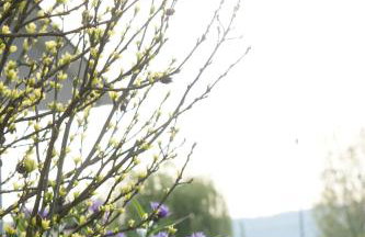 Direkt am See - Bodenseeresidenz in Bodman - Foto 41