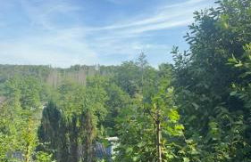 Erholung in der Freiheit - Photo 40