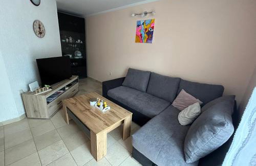 Apartman Luka - Photo 10