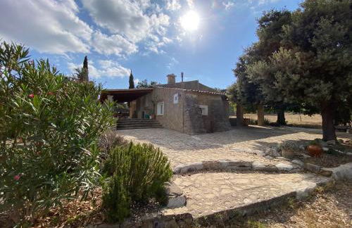 Finca es Born - vistas panorámicas - Photo 43