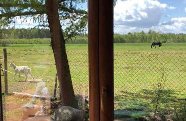 Zamieszkaj na wsi blisko Warszawy - Foto 23