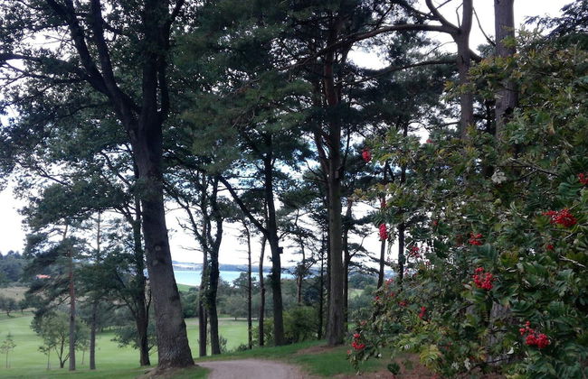 5 Star Holiday Home in Skals - Foto 11