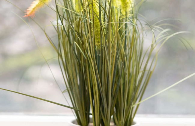 Clapham Sanctuary Apartment - Foto 25