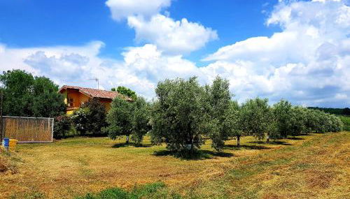 Villa Oliva - Foto 4