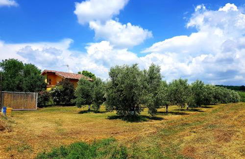 Villa Oliva - Foto 4