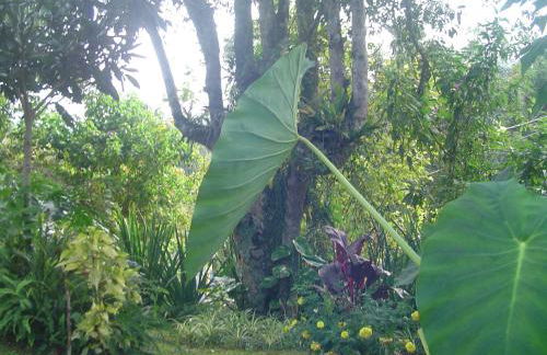 Casa Dell Angelo Apartamentos - Foto 56