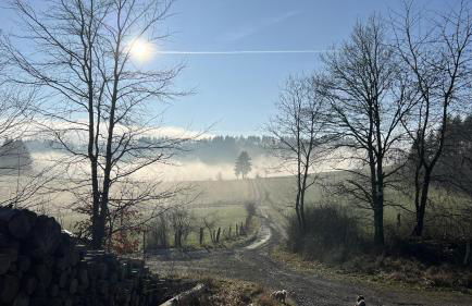 Schwedenhaus Kaminzauber - Foto 16
