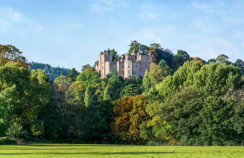 Dragonfly Two - Photo 14