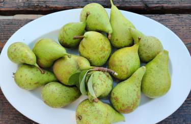 Casa Martin , 4 bedroom villa - Foto 47