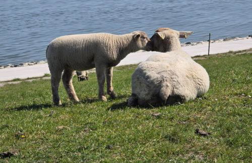 Apartment Landskron by Interhome - Foto 34