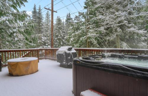 Govy Alpine Getaway - Meredith Lodging - Foto 59