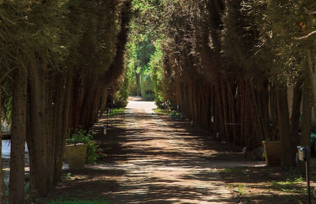 Villa Pignatelli - Photo 41