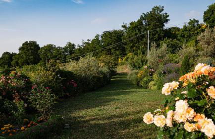 Il Casale di Fiore - Foto 55