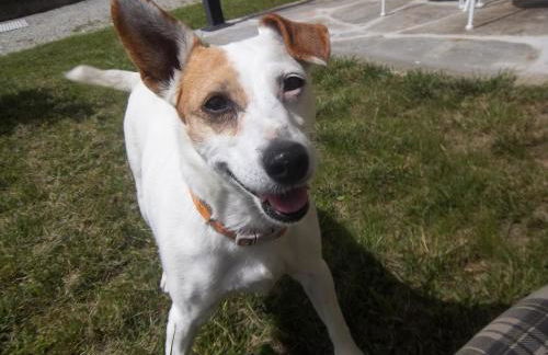 Agriturismo Al Palaz - Foto 49