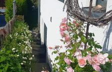 Ferienwohnung Rebgärtle - Foto 21