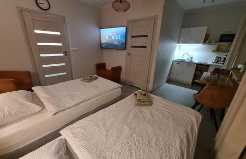 Apartament Strumyk - Foto 41