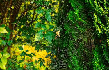 Poziomkowy Zakątek - Foto 41