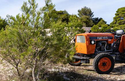 Zante Hidden Hills - Photo 19