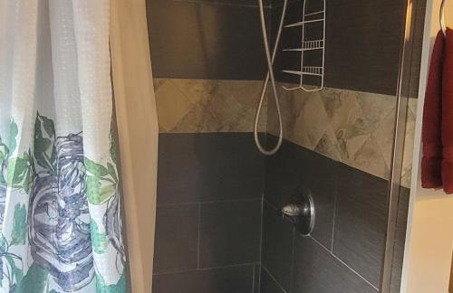 BH Adj, studio spacious BH - Foto 2