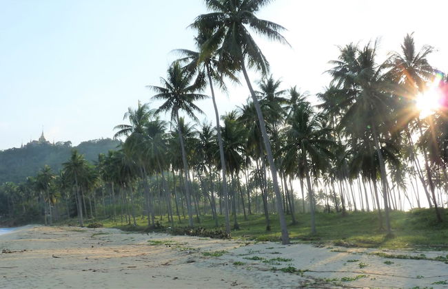 155 SalaCoco - Foto 61