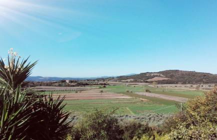 Sonnellino in Maremma - Foto 44