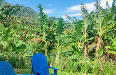 A Casinha Lumiar - Foto 29