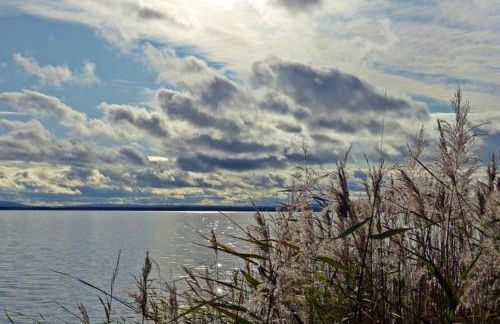 Cosy house with workplace, balcony and garden 30 min to Marienburg - Foto 23