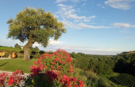 Agriturismo Althea - Foto 24