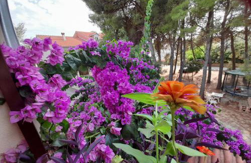 HOUSE-APARTMENTS ELA -MIRCA- FAMILY HOLIDAY - Foto 32