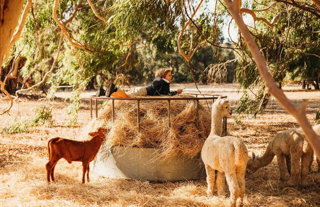 Margaret River Holiday Cottages - Photo 51