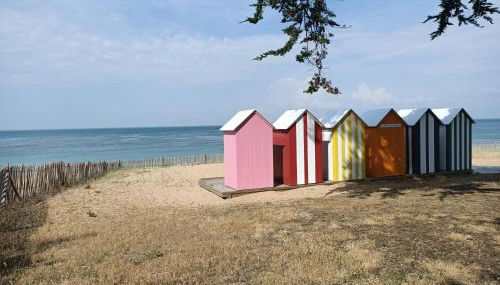 Pomme de Pin et Mimosa - Foto 4