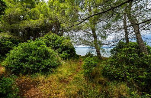 Sydney Apartment - Photo 49